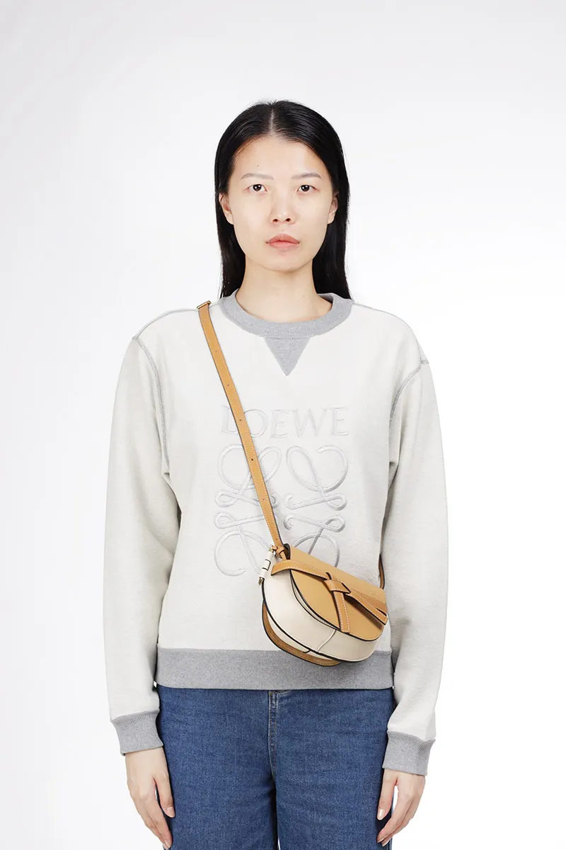 LOEWE Mini Gate Shoulder Dual Bag in Dune/Warm Desert Soft Calfskin 4