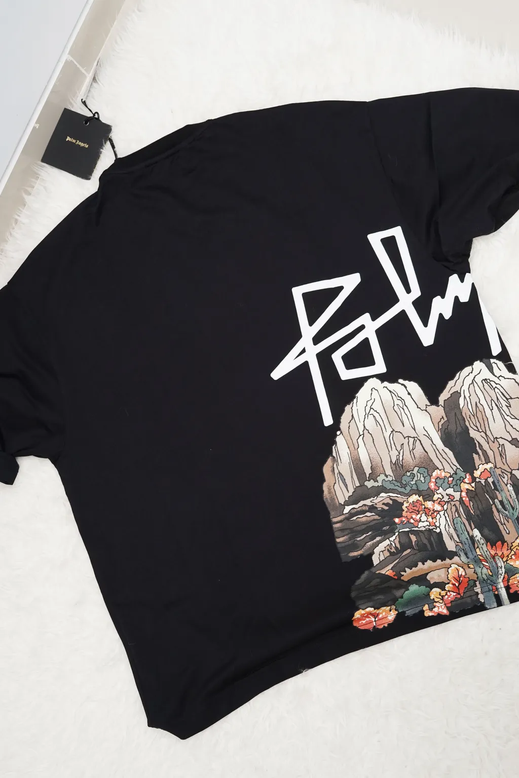 PALM ANGELS Men Desert Logo x Skull Oversized T-Shirt in Black 1